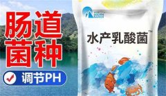 水產(chǎn)乳酸菌什么時(shí)間使用效果好 需注意哪些事項